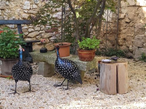 two peacocks standing next to a table and potted plants at B&B Champdelaplume in Barjac