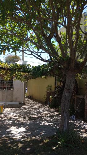 a tree in the middle of a sidewalk next to a building at Casa Chuchi in Reconquista