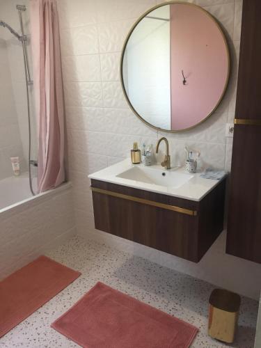 une salle de bain avec un lavabo et un miroir dans l'établissement Le coin des piplettes, à Le Dézert