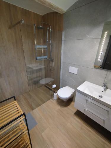 a bathroom with a shower and a toilet and a sink at Dobrotín 7 - Česká Kanada in Dobrotín