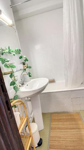 Appartement dans résidence piscine chauffée