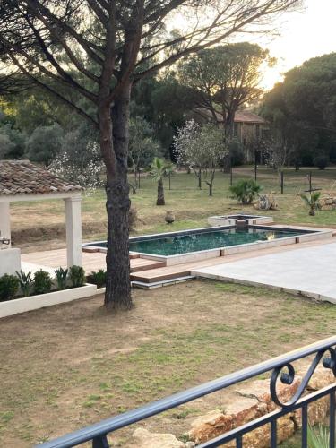 a swimming pool in a yard with a tree at Loumar in Saint-Tropez