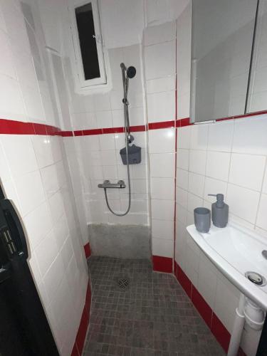 La petite salle de bains est pourvue d'une douche et d'un lavabo. dans l'établissement COZY apartment close to Paris, à Saint-Ouen