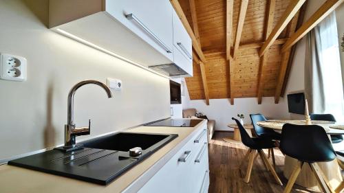 Kuchyň nebo kuchyňský kout v ubytování Apartmán NIKI Apollon Resort Lednice