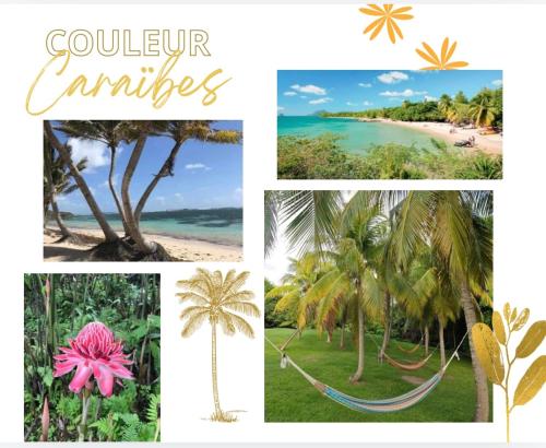 Couleur Caraïbes-Ti rêve appartement vue mer hotel club