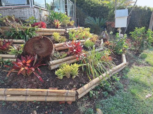 a garden with many plants in a yard at El Rincón De La Abuela Paisaje y Confort in La Cumbre