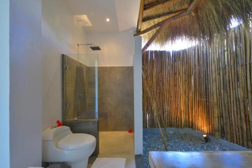 a bathroom with a toilet and a shower at Diniview Villa Resort in Boracay