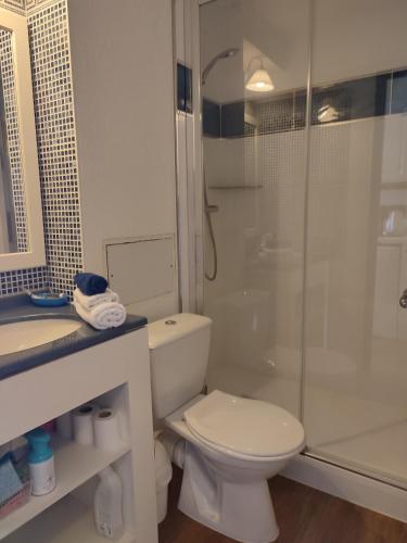 une salle de bain blanche avec toilettes et douche dans l'établissement Soleillade Studio cabine avec terrasse 2 adultes 1 enfant, à Talmont-Saint-Hilaire