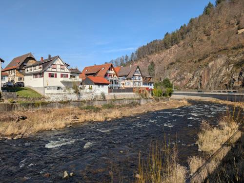 a river with houses on the side of a mountain at Apartment im Schwarzwald -Natur, Kamin & WLAN, Nähe Baiersbronn in Baiersbronn