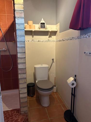 a small bathroom with a toilet and a shelf at Lazy Days in Debrecen