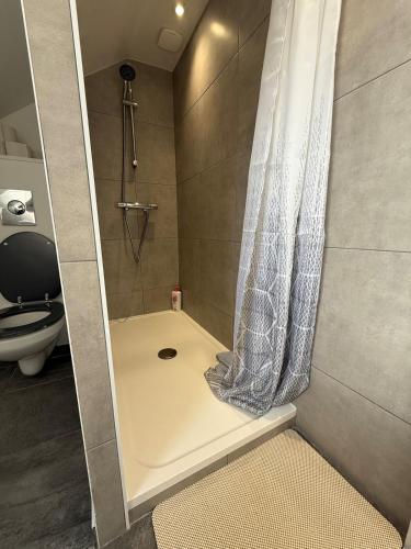 une salle de bain avec une douche avec un rideau de douche dans l'établissement Appartement au cœur du centre ville, à Saumur