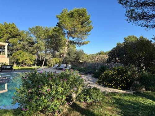 Πισίνα στο ή κοντά στο A l'ombre des pins