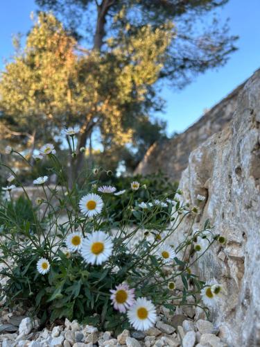 Φυσικό τοπίο κοντά σε αυτός ο ξενώνας