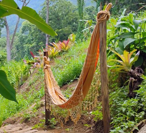 amaca in mezzo al giardino di Camping Cítara a Parati