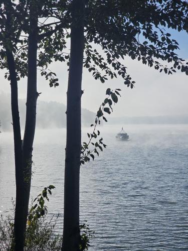 a boat in the middle of the water with trees at Tresna Dream in Tresna