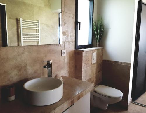 une salle de bain avec un lavabo, des toilettes et un miroir dans l'établissement PINE and house DIRECTION with private jacuzzi -, à Istres
