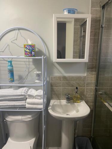 a bathroom with a sink and a toilet and a mirror at Jays Getaway in Perth
