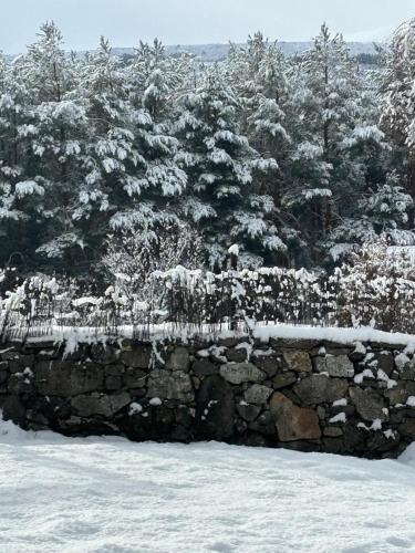 a stone wall covered in snow with trees in the background at ALTOGREDOS Hotel Rural y apartamentos turísticos in Hoyos del Espino