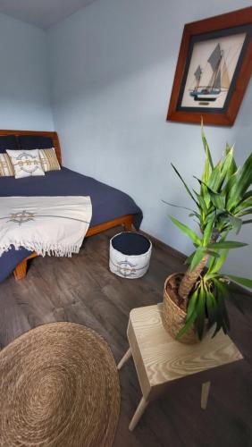 a bedroom with a bed and a plant and a stool at Résidence du Soleil in Collioure