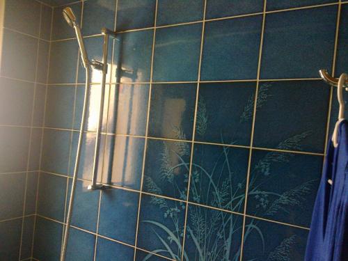 a bathroom with a shower with a blue tile wall at Private Room on second floor with a View in Lenzburg