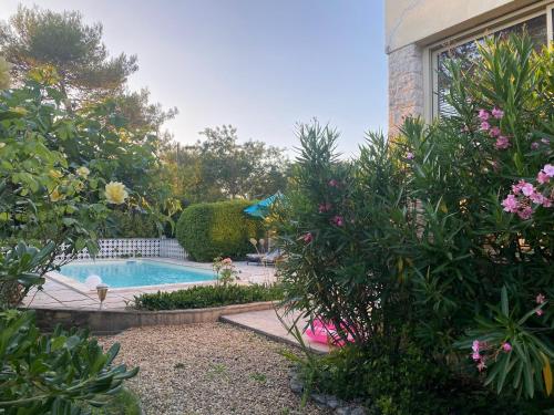 Πισίνα στο ή κοντά στο Studio dans les pins