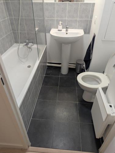 une salle de bain avec toilettes et lavabo dans l'établissement Gîte de l'Orangerie, à Émerainville