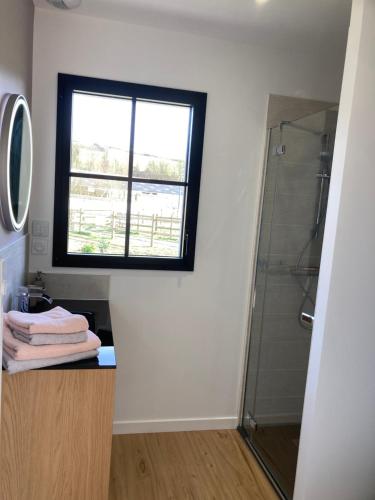 マレスヴィルにあるLes Petites Maisons dans la Prairie - 1の窓、洗面台、シャワー付きのバスルームが備わります。