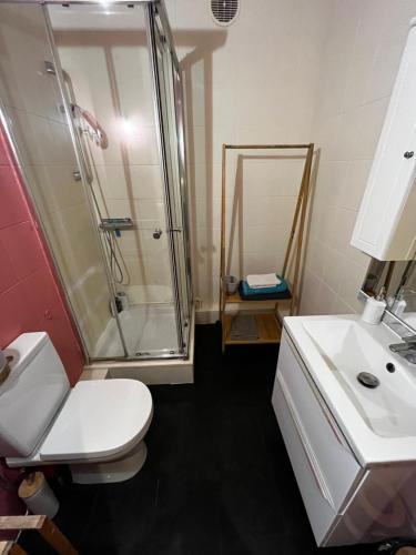 une salle de bain avec une douche, des toilettes et un lavabo dans l'établissement Cosy Studio - Plage et Suquet, à Cannes