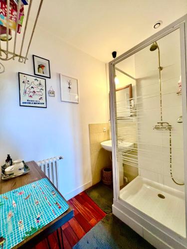 a bathroom with a shower and a sink at Au Petit Bonheur in Talence