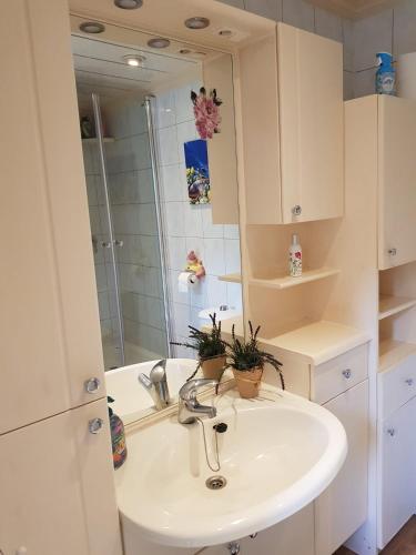 a bathroom with a sink and a mirror at Natuurbungalow Het Koolmeesje in Putten