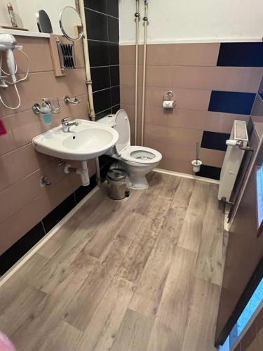 a bathroom with a toilet and a sink at H@M Penzion in Žlutice