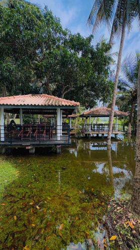 a restaurant on a body of water next to a palm tree at Hotel Milenium in Kurundankulama