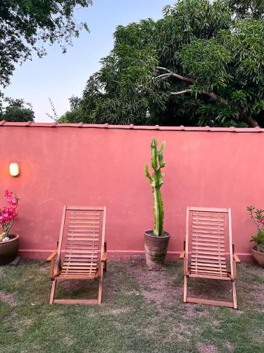 two chairs sitting next to a red wall with a cactus at XIQUE XIQUE ITAUNAS HOSPEDARIA in Itaúnas
