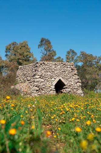 Gambar di galeri bagi Gli Ulivi di Gino di Sanarica