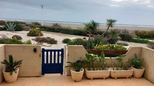 Port Leucate F2 rdc plage 10 mètres, 25 m2, 5 personnes