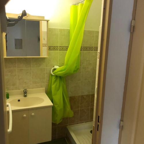 La salle de bains est pourvue d'un lavabo et d'un rideau de douche vert. dans l'établissement Villa Narbonne Beach T5, à Narbonne-Plage