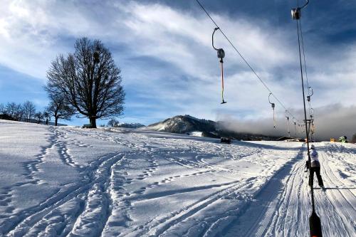 a person on skis in the snow on a ski lift at Abelhof in Schladming