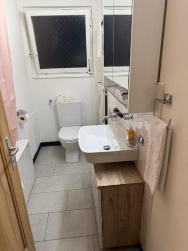 a bathroom with a toilet and a sink and a window at Bellevue Apartment in Krattigen