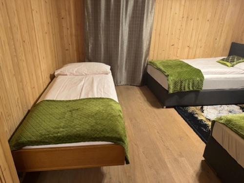 two beds in a small room with green blankets at Bellevue Apartment in Krattigen