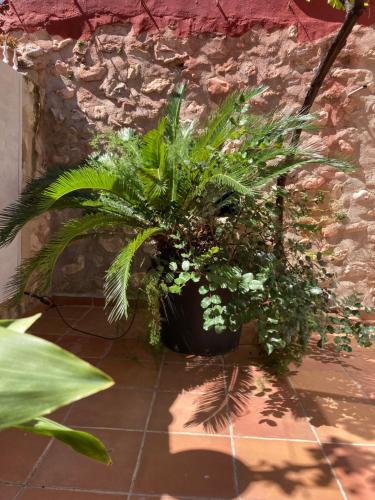 a potted plant sitting on a tile floor at Casa Gallinera in Benissiva