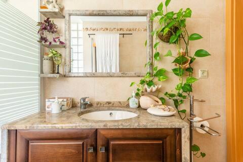 a bathroom with a sink and a mirror at Beco do Patalugo in Salir de Matos