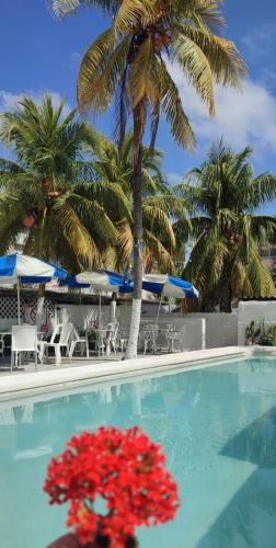 a swimming pool with chairs and umbrellas and palm trees at Hotel Coral in Cancún
