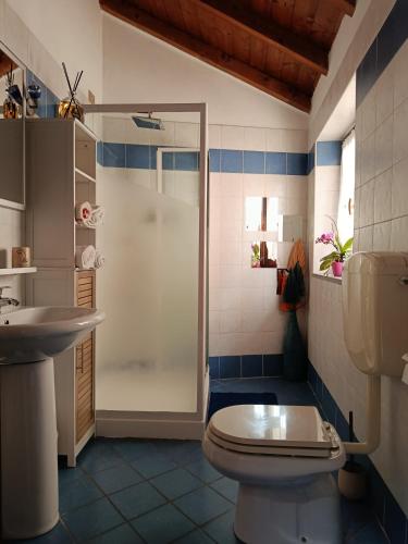 a bathroom with a shower and a toilet and a sink at Casa Valletta in Mezzomerico