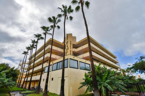 M&M SUITE LOS CACTUS by HOMESTAYGRANCANARIA