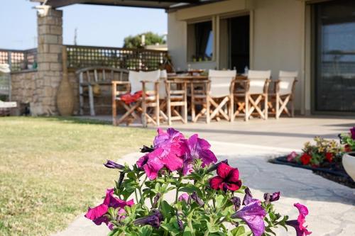 a bunch of flowers in a pot on a patio at Carpos Villa in Aegina Town