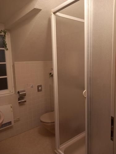 a bathroom with a shower and a toilet at Altstadt Oase Bernkastel-kues in Bernkastel-Kues