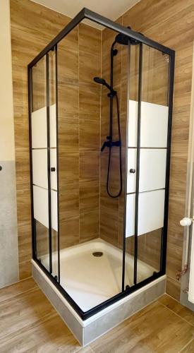 a shower with a glass enclosure in a room at "Ferienwohnung Naturliebe - grünes Paradies im Zentrum in Luckenwalde