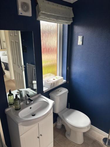 a bathroom with a toilet and a sink and a mirror at Gressingham 9 - South Lakes Leisure Village - lodge on the lake in Carnforth