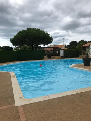 une personne nageant dans une grande piscine bleue dans l'établissement Maison Piscine Clim à 2 pas de la Mer, à Saint-Vincent-sur-Jard