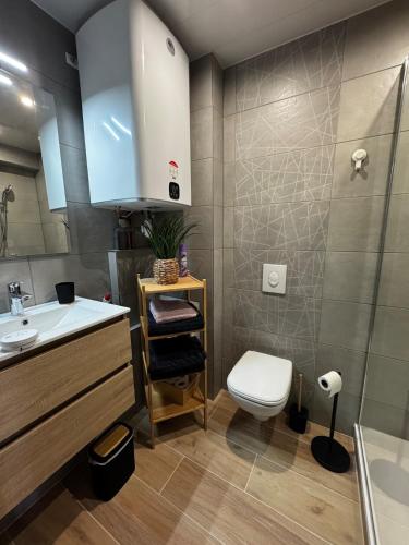 une salle de bain avec un lavabo, des toilettes et une douche dans l'établissement Gîte le Pfeffel à Colmar, à Colmar
